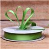 Order  Basics 2 Go Satin Ribbon - 9mm Kiwi